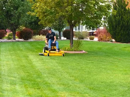 Image of a male landscape contractor mowing a lawn using a zero turn mower